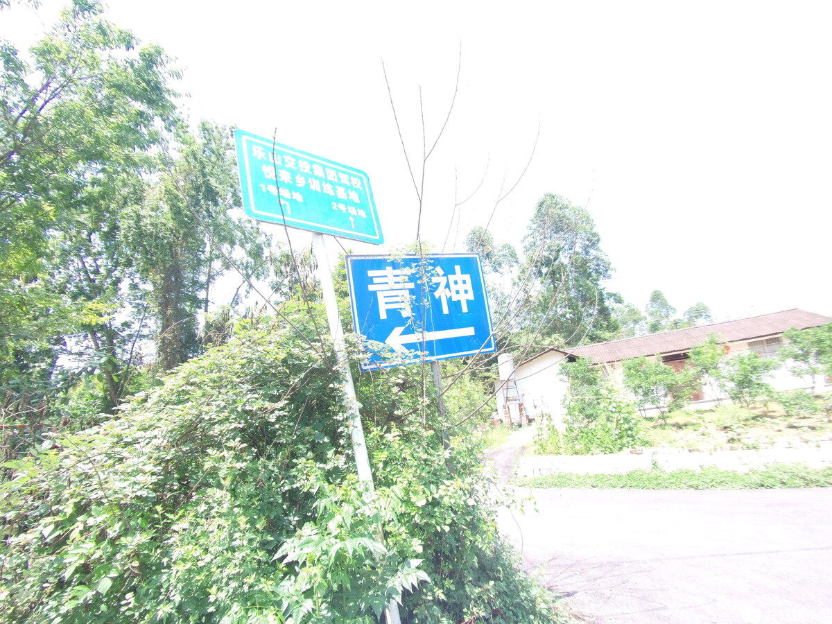 1683899782074.jpg